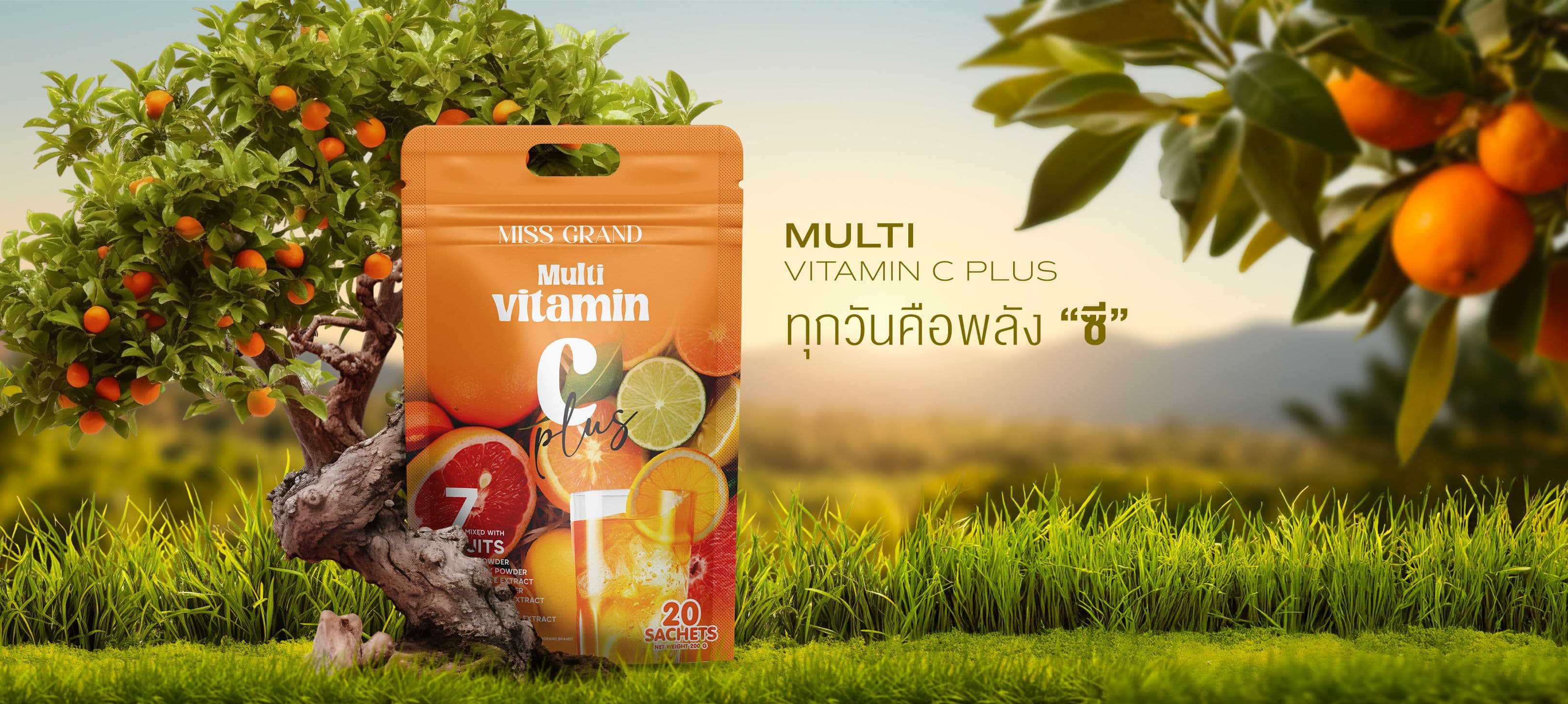 WEB-MULTIVITAMINC